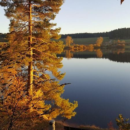 Ferienwohnung Am Kirnbergsee Unterbrand Eksteriør billede