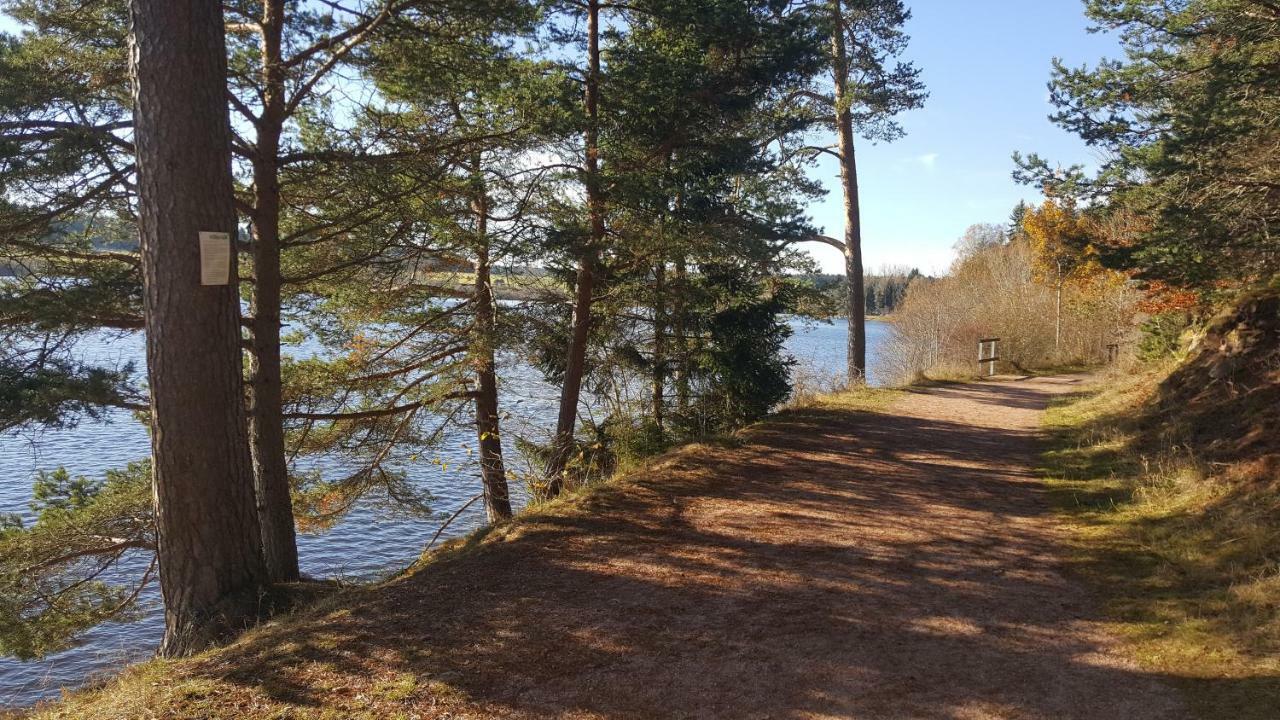 Ferienwohnung Am Kirnbergsee Unterbrand Eksteriør billede